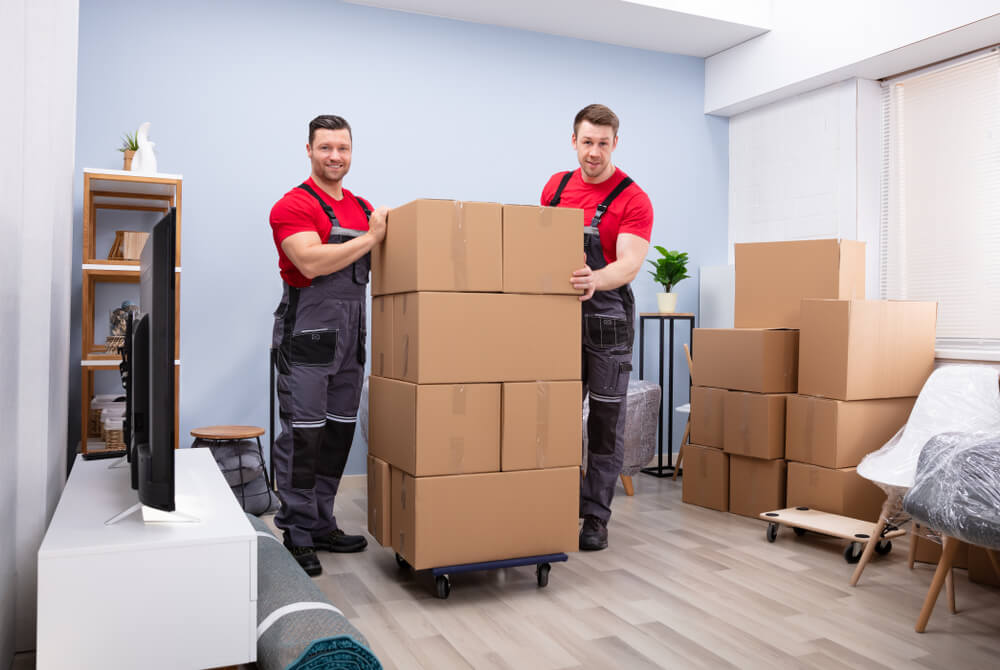 Local Moving Company Near Me San Carlos